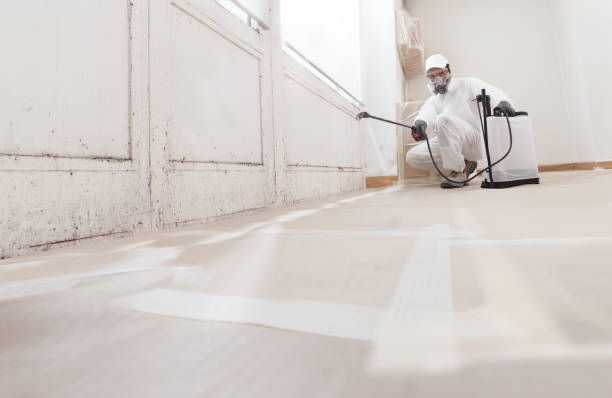24/7 Emergency Bathroom Mold Removal experts in Clayton, NC